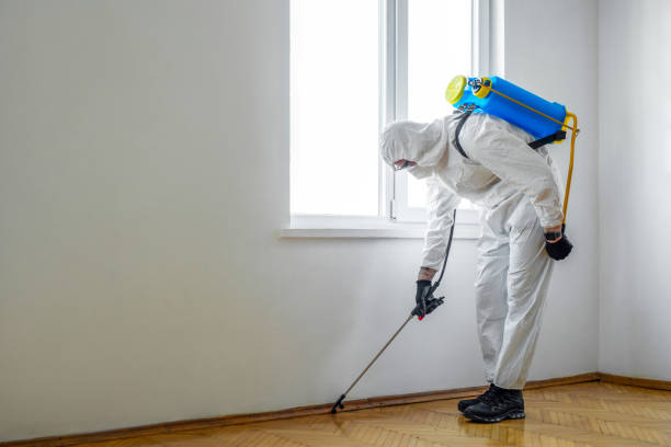 Best Commercial Pest Control Services  in Sterling, CO