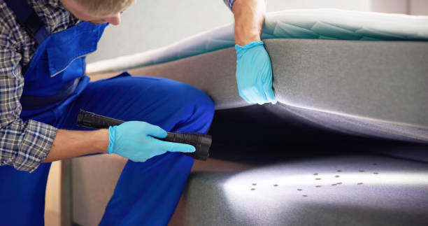 Best Bed Bug Extermination  in Sterling, CO