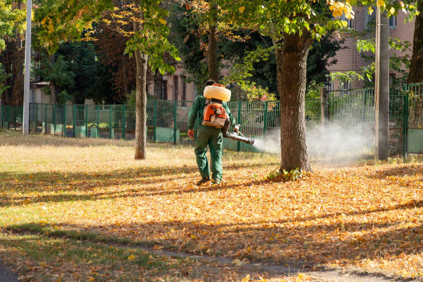 Insect Control in Sterling, CO