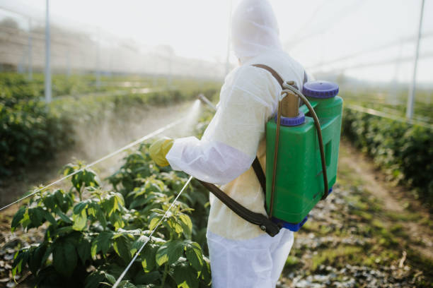 Best Pest Prevention Services  in Sterling, CO